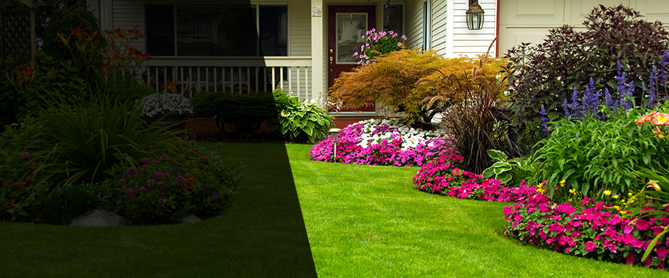 Crewe Landscapers