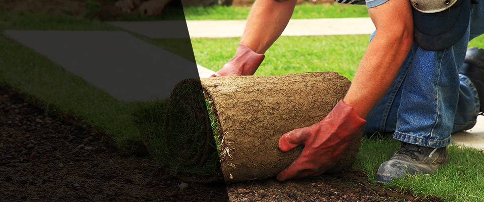Crewe Landscapers